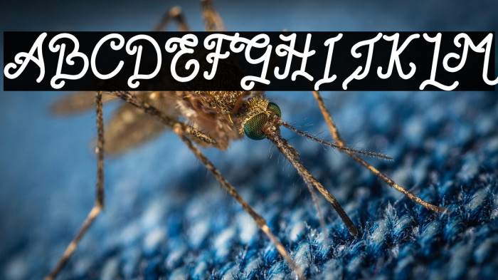 Romantica Story Free For Person Example 2