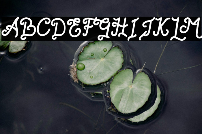 Romantica Story Free For Person Example 3