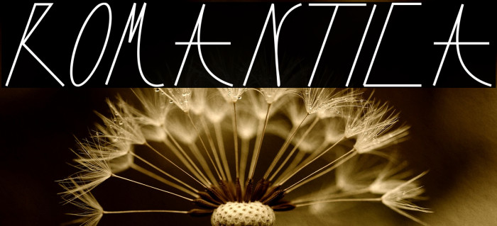 Romantica Font examples