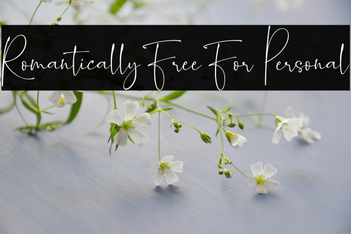 Romantically Free For Personal Example 2