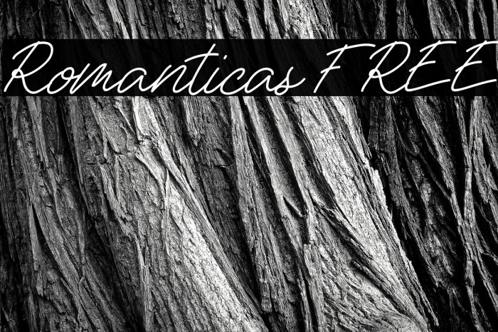 Romanticas FREE Example 3