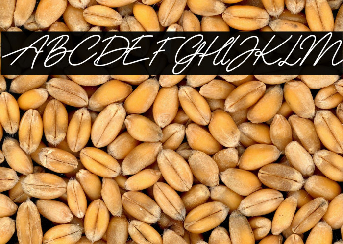 RomanticasFREE Example 1