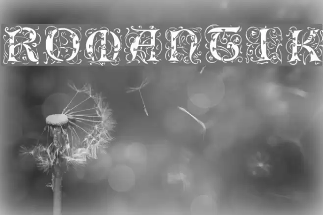 Romantik Font examples