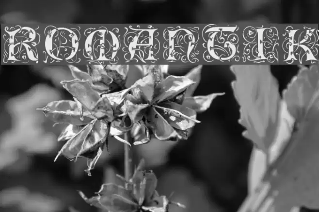 Romantik Font examples