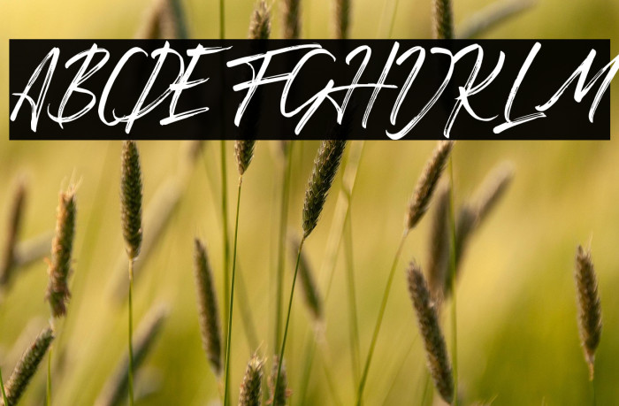 Romantika Hidup Example 1