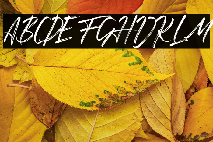 Romantika Hidup Example 2