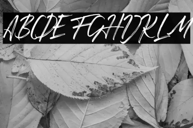 Romantika Hidup Font examples