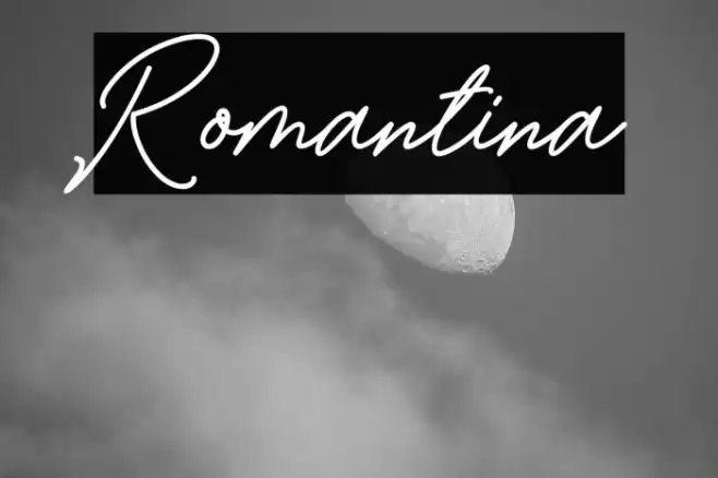 Romantina Fuentes examples