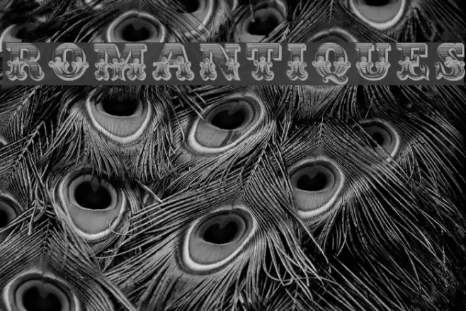 Romantiques Font examples