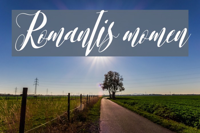 Romantis momen Font examples