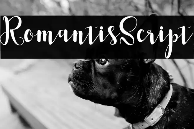 RomantisScript Font examples