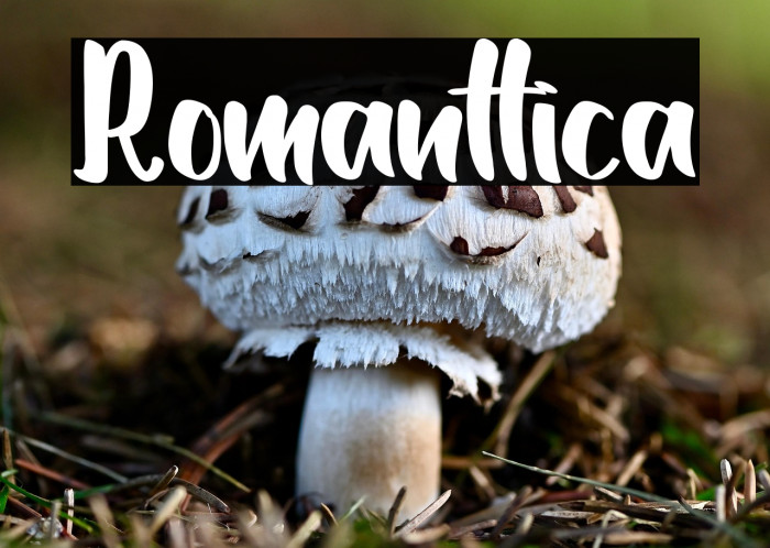 Romanttica Example 1