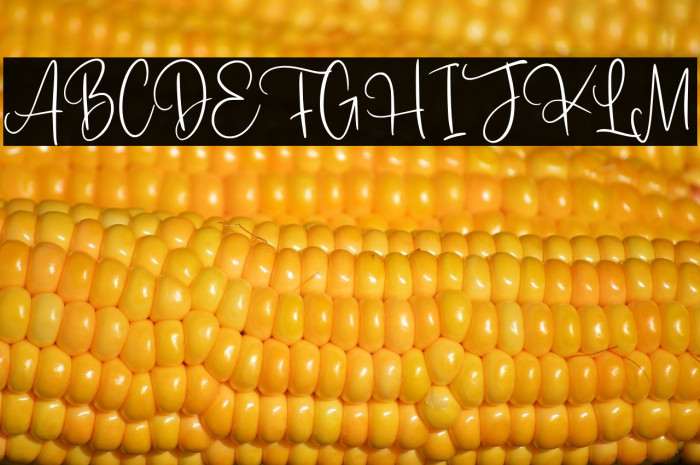 Romantyc Paradise Example 2