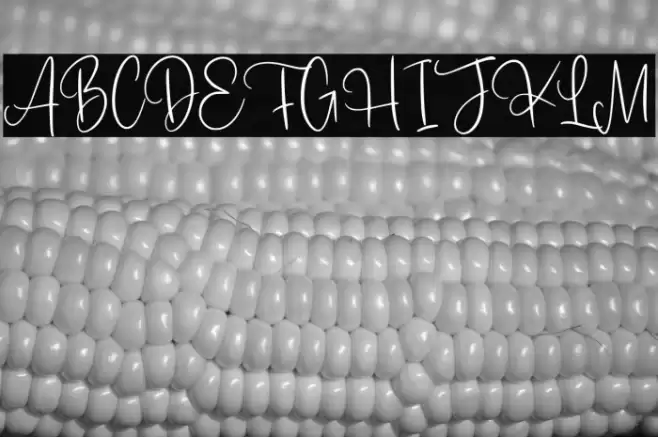 Romantyc Paradise フォント examples