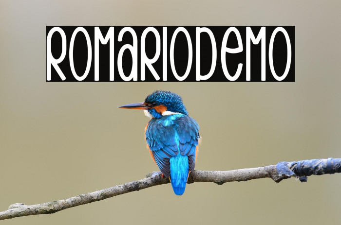 RomarioDemo Example 1