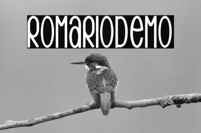 RomarioDemo Font examples