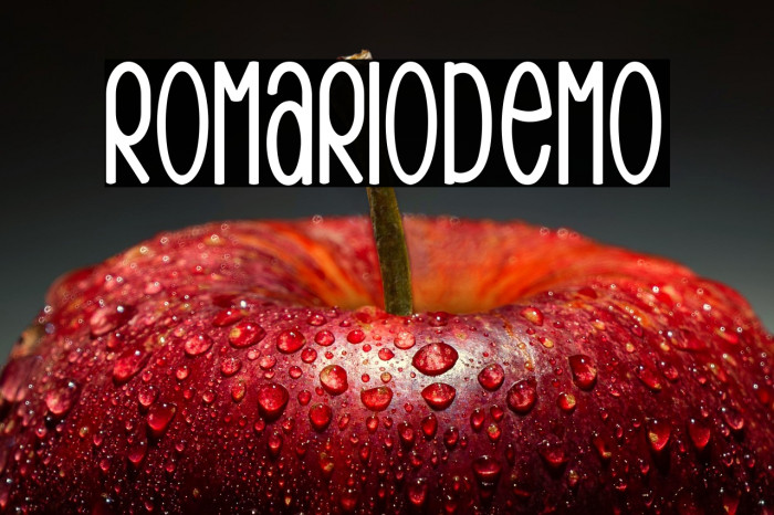 RomarioDemo Example 2