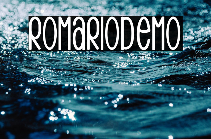 RomarioDemo Example 3