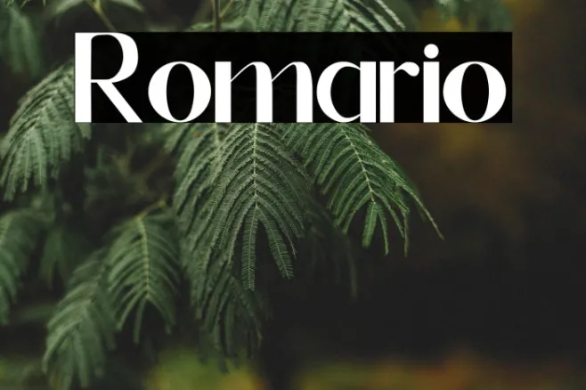 Romario Example 1