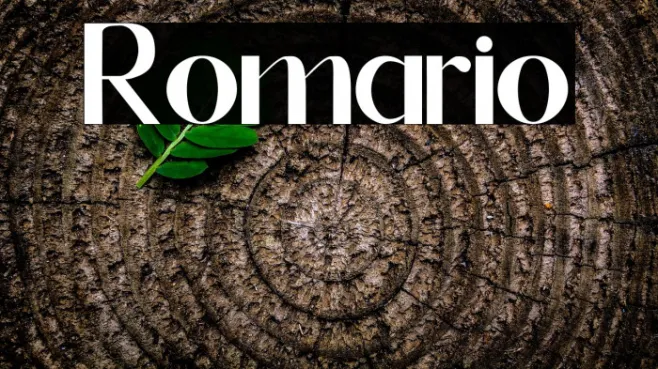 Romario Example 3