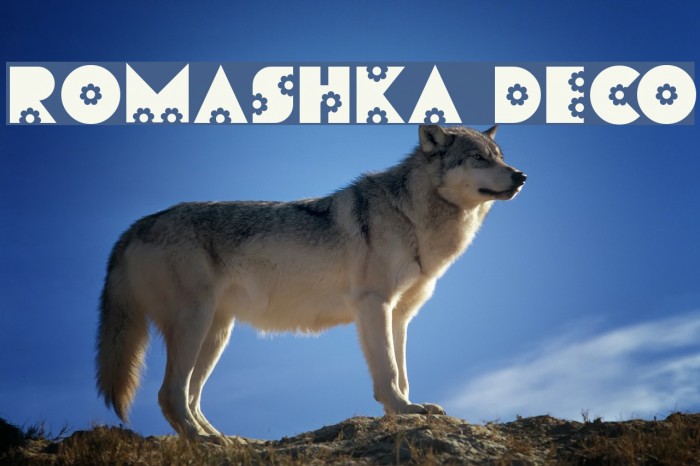 Romashka Deco Font examples