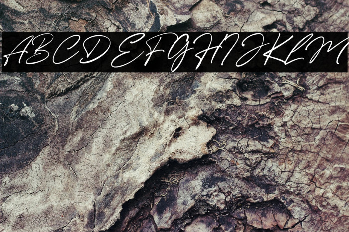 Romate Hood Example 2