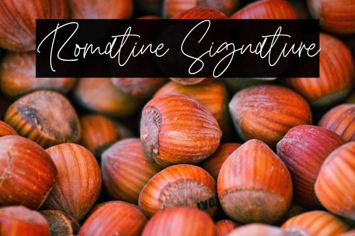 Romatine Signature Example 1