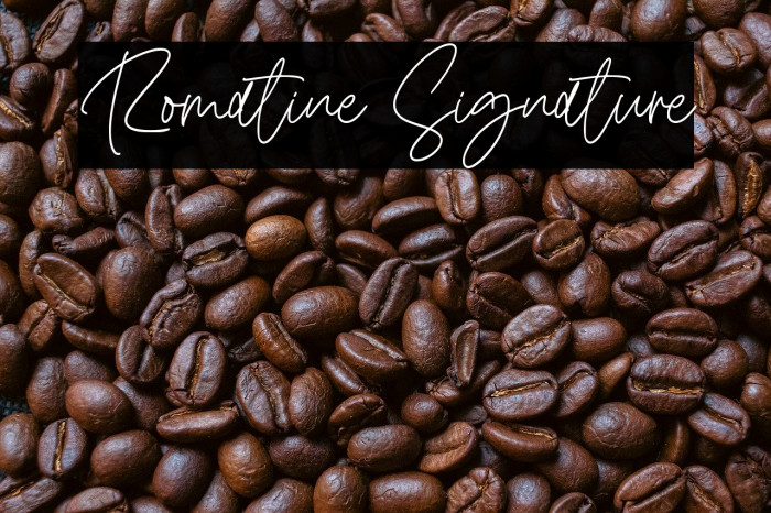 Romatine Signature Example 2