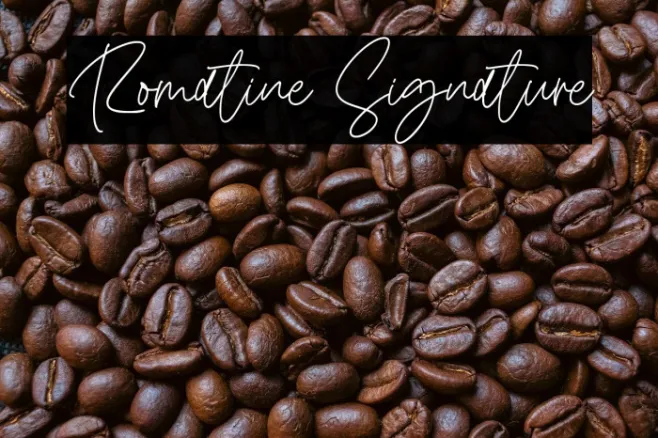 Romatine Signature Example 2