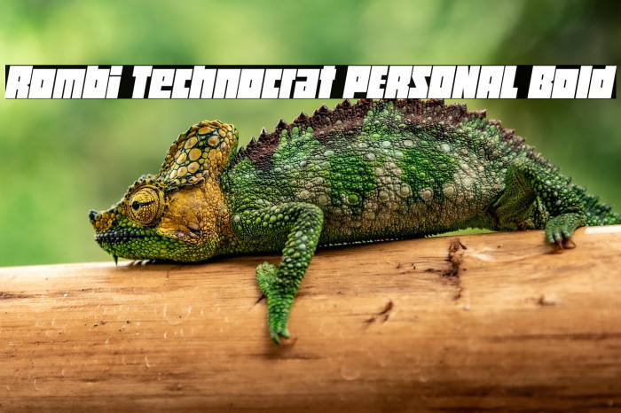 Rombi Technocrat PERSONAL Bold Example 1