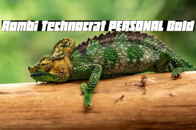 Rombi Technocrat PERSONAL Bold Example 1