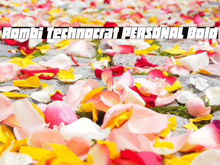 Rombi Technocrat PERSONAL Bold Example 2