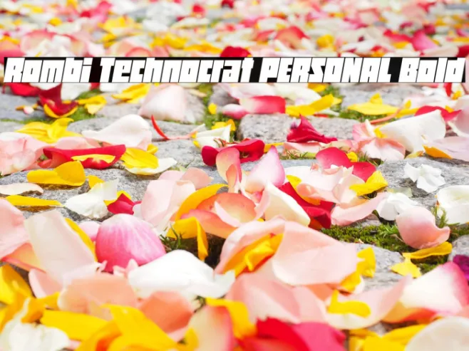 Rombi Technocrat PERSONAL Bold Example 2