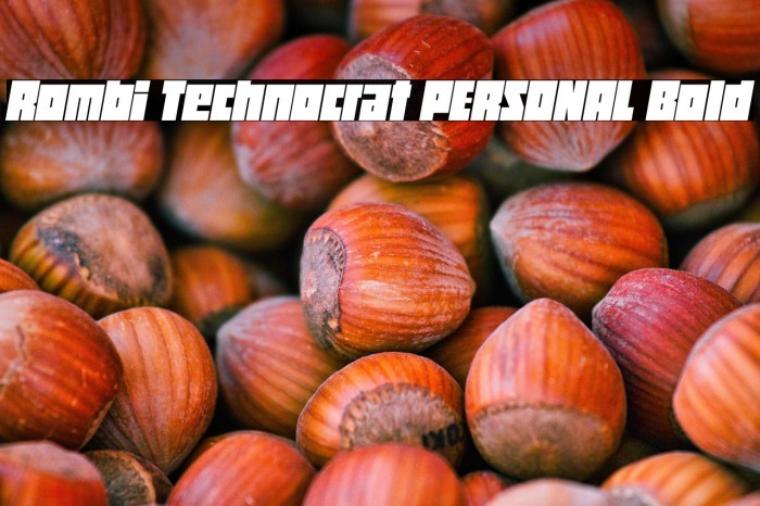 Rombi Technocrat PERSONAL Bold Example 3