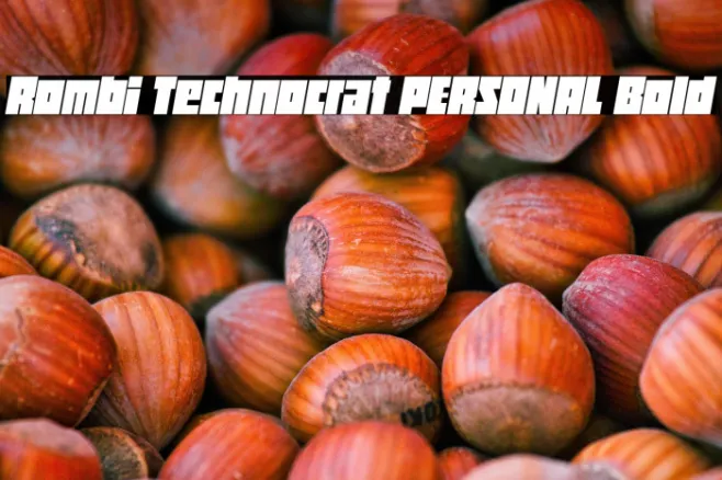 Rombi Technocrat PERSONAL Bold Example 3