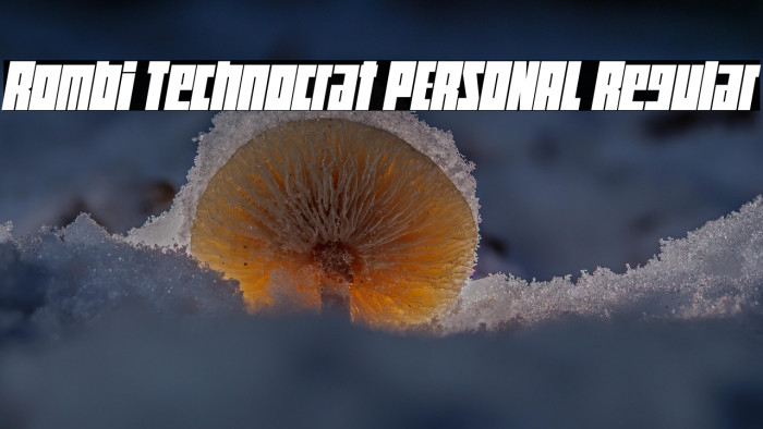 Rombi Technocrat PERSONAL Regular Example 1