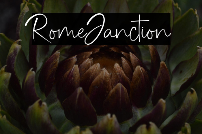 RomeJanction Example 1