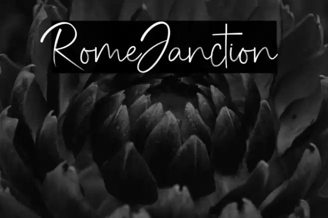 RomeJanction Font examples