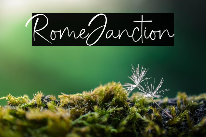 RomeJanction Example 3