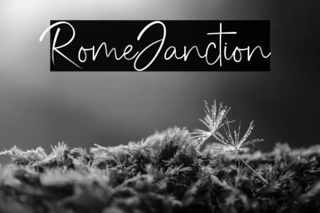 RomeJanction Font examples