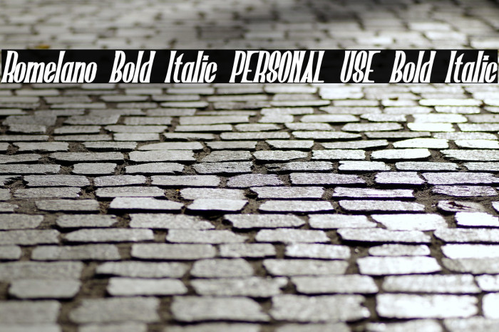Romelano Bold Italic PERSONAL USE Bold Italic Example 2