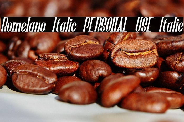 Romelano Italic PERSONAL USE Italic Example 1
