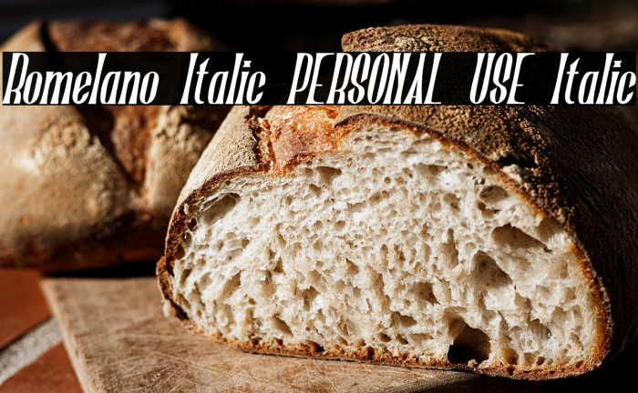 Romelano Italic PERSONAL USE Italic Example 2