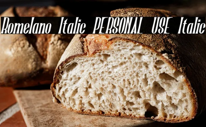 Romelano Italic PERSONAL USE Italic Example 2