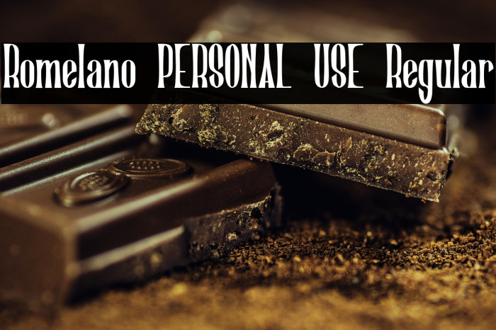 Romelano PERSONAL USE Regular Example 1