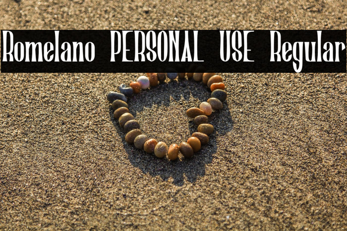 Romelano PERSONAL USE Regular Example 2