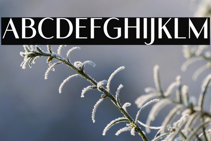 RomelioSans Example 1