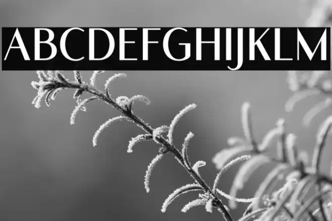 RomelioSans Font examples