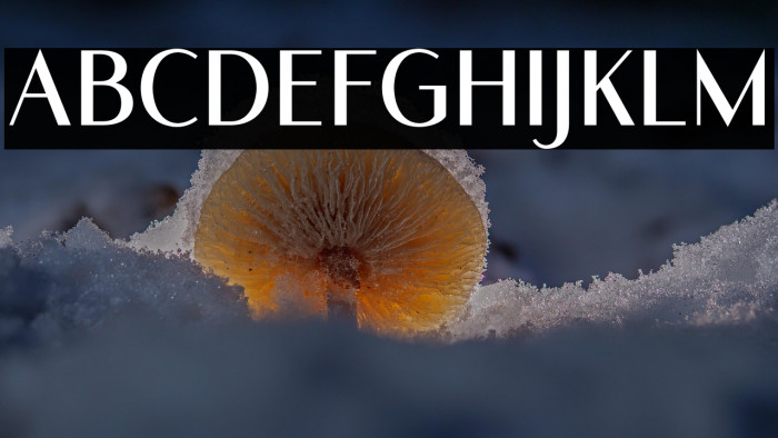 RomelioSans Example 3