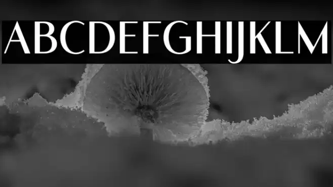 RomelioSans Font examples